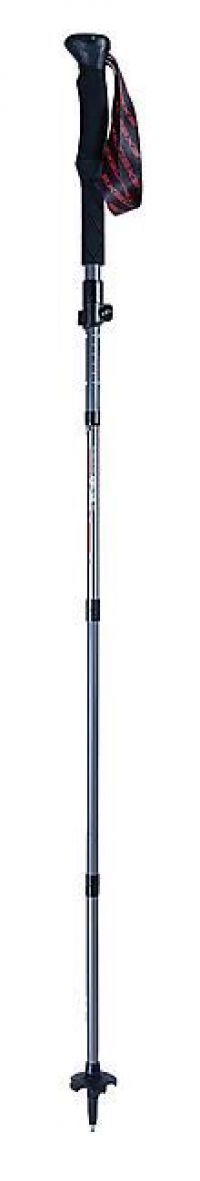 EXEL BATONS APEX 100% CARBONE GREY ET RED Batons trail et rando pas cher